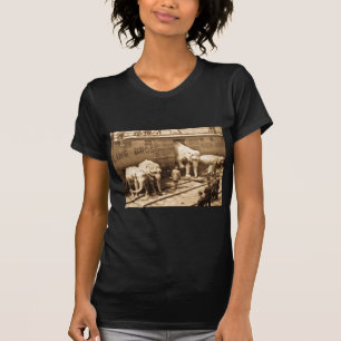 Magic Lantern Slide Ringling Bros Elephant Train T-Shirt
