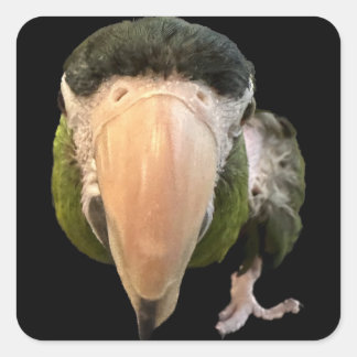 magic mikey super stickers