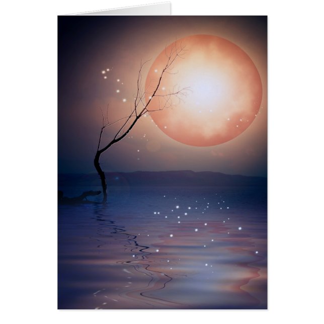 magic-moon.png (Front)