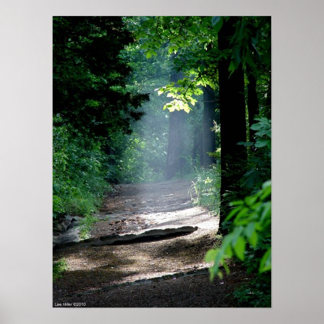 Magic Morning Light on the Forest Trail Poster (Front)