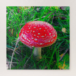 Magic Mushroom Fungi Red Nature Scenic Outdoor Jig Jigsaw Puzzle