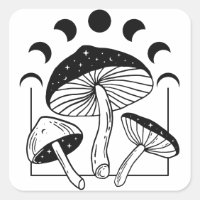 Magic Mushroom Moon Phases