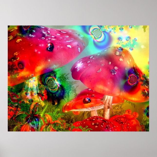 Magic Mushrooms - Poster (Front)
