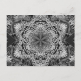 magic nature mandala horizontal postcard