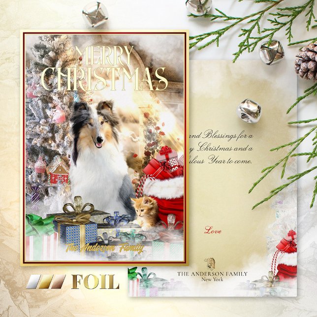 Magic Pets Christmas, Blue Merle Collie & Kitten - Foil Holiday Card (Creator Uploaded)
