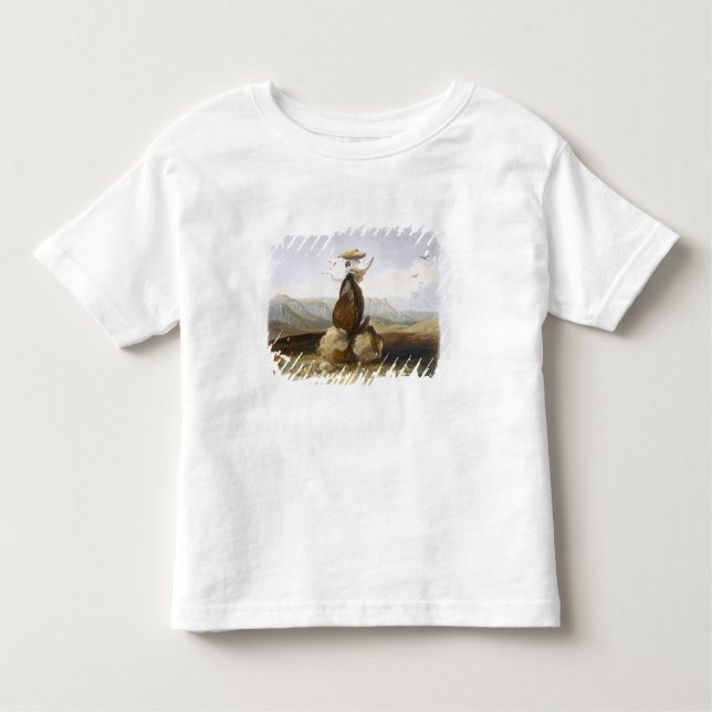 Magic Pile Erected by the Assiniboin Indians, plat Toddler T-Shirt (Front)