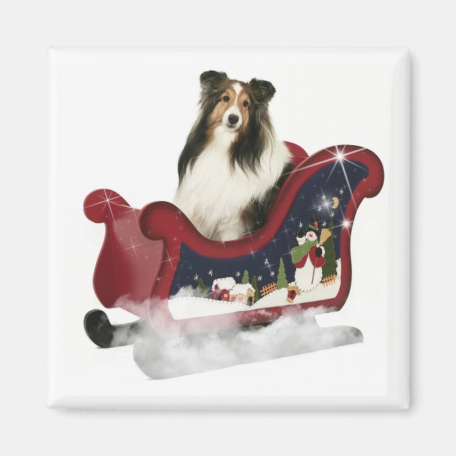 Magic Sleigh Sheltie Magnet (Front)