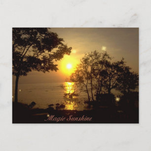 Magic Sunshine Postcard