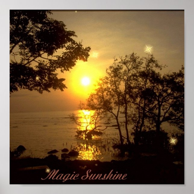 Magic Sunshine Poster (Front)