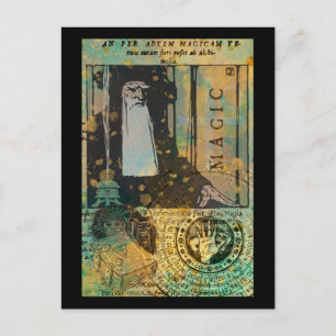 Magic Wizard Postcard