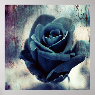 Magical Blue Rose Texturised Poster