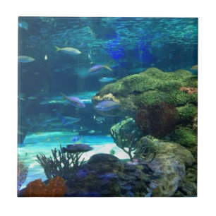 Magical Coral Reef Ceramic Tile