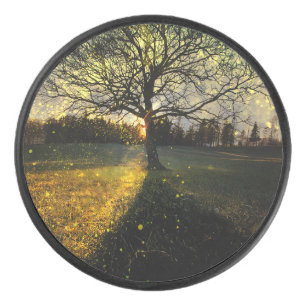 Magical fireflies dreamy landscape hockey puck