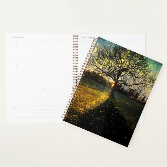 Magical fireflies dreamy landscape planner (Display)