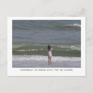 Magical Florida. Postcard