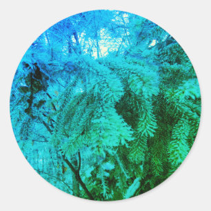 Magical Frozen Fir Tree Twigs in a Winter Forest Classic Round Sticker