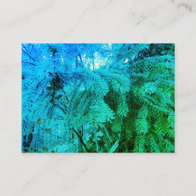 Magical Frozen Fir Tree Twigs in a Winter Forest Enclosure Card (Front)