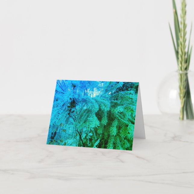 Magical Frozen Fir Tree Twigs in a Winter Forest Note Card (Front)