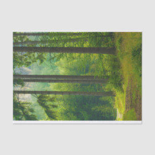 Magical green forest path trees mist tissue paper