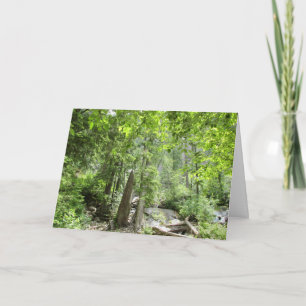 Magical Green Forest Scene.  Card