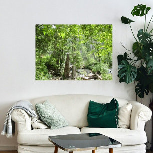 Magical Green Forest Scene.  Poster