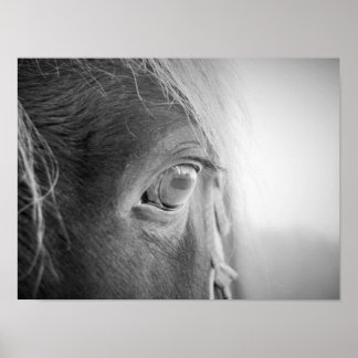 Magical Horse black and white Poster