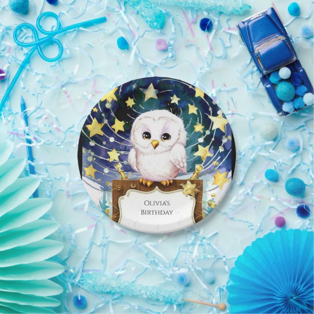 Magical Kids' Owl Birthday Paper Plate (Party)