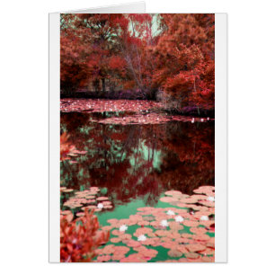 Magical Landscape