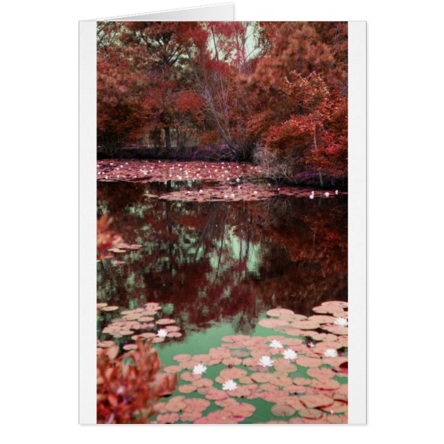 Magical Landscape (Front)