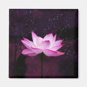 magical lotus - magnet