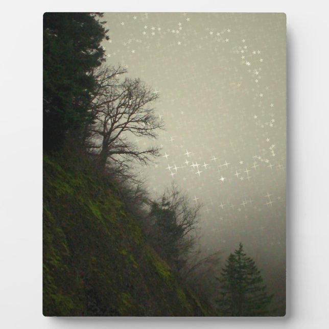 Magical Mist Forest Hill Plaque (Front)