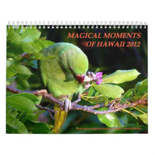 Magical Moments of Hawaii 2012 Calendar
