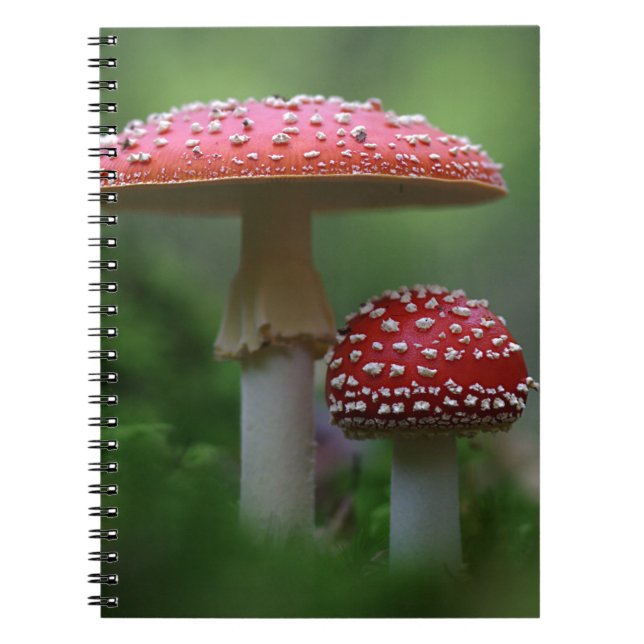 Magical Mushrooms Notebook (Front)