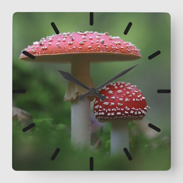 Magical Mushrooms Square Wall Clock (Front)