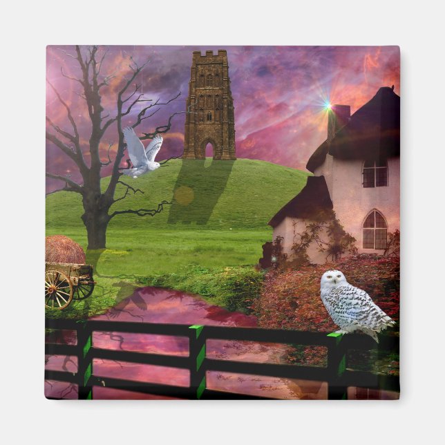 Magical mystery tor... magnet (Front)