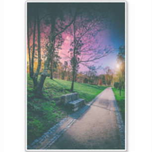 Magical night sky in a park with colourful sky