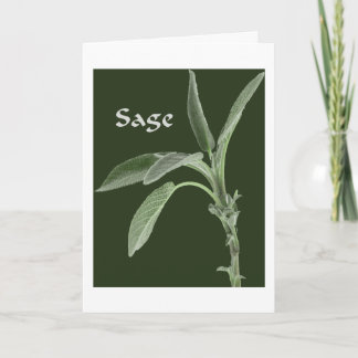 Magical Plants - Sage Card