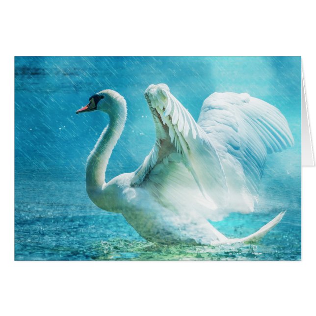 Magical Swan During a Summer Shower (Front Horizontal)