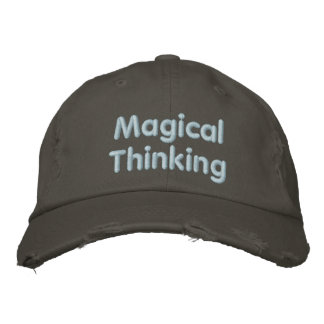 Magical Thinking Embroidered Hat