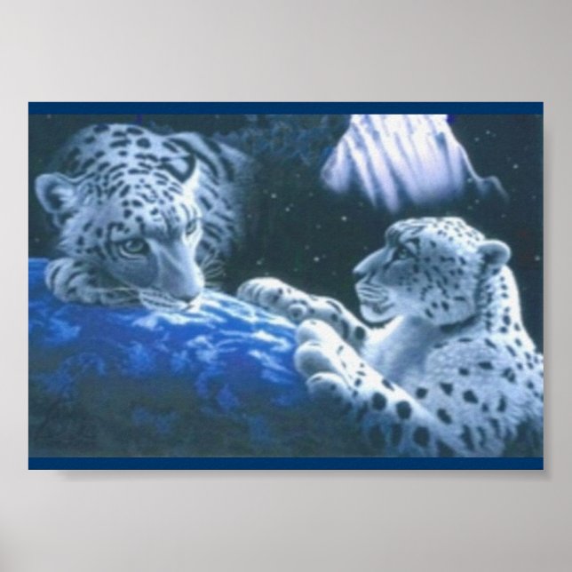 Magical Tigers Poster (Front)