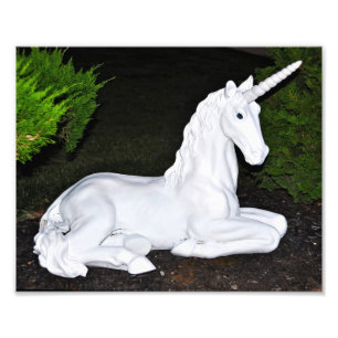 Magical Unicorn Photo Print