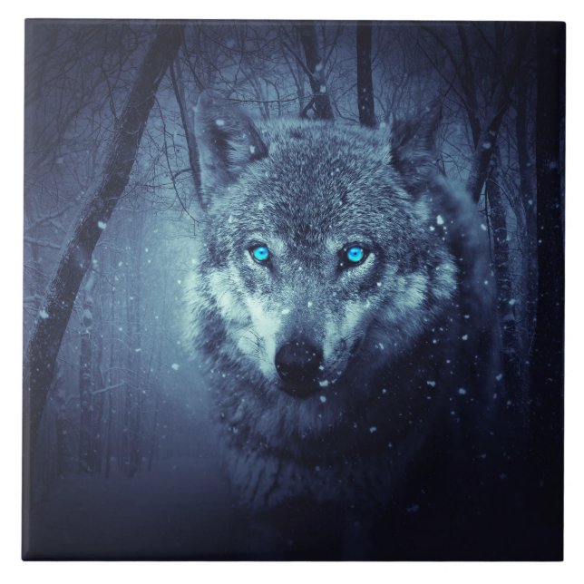 Magical Wild Wolf with Amazing Blue Eyes Ceramic Tile (Front)