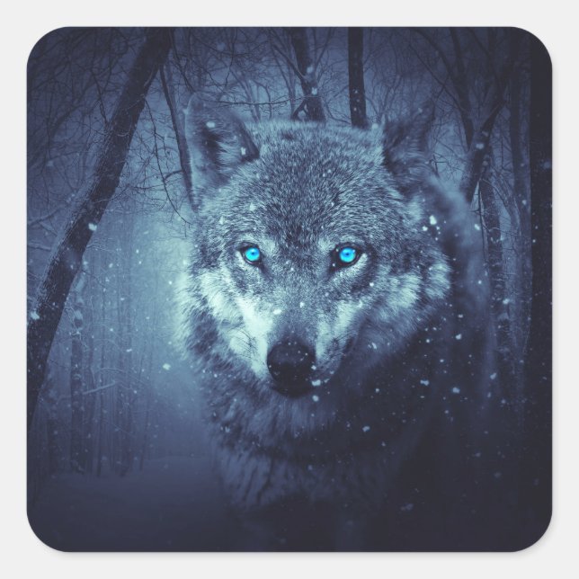 Magical Wild Wolf with Amazing Blue Eyes Square Sticker (Front)