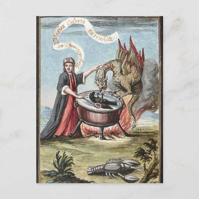 Magician and Dragon at the Cauldron of Alchemy Postcard (Front)