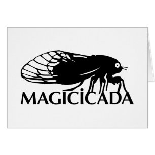 Magicicada - Cicada - Cool Bugs get a Buzz On!