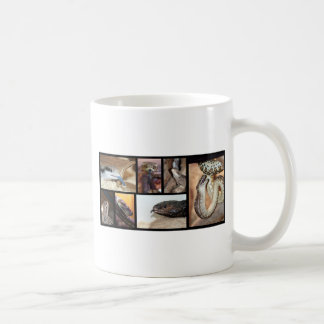 Magies Reptiles Coffee Mug