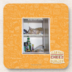 Magishun Kitteh Coaster