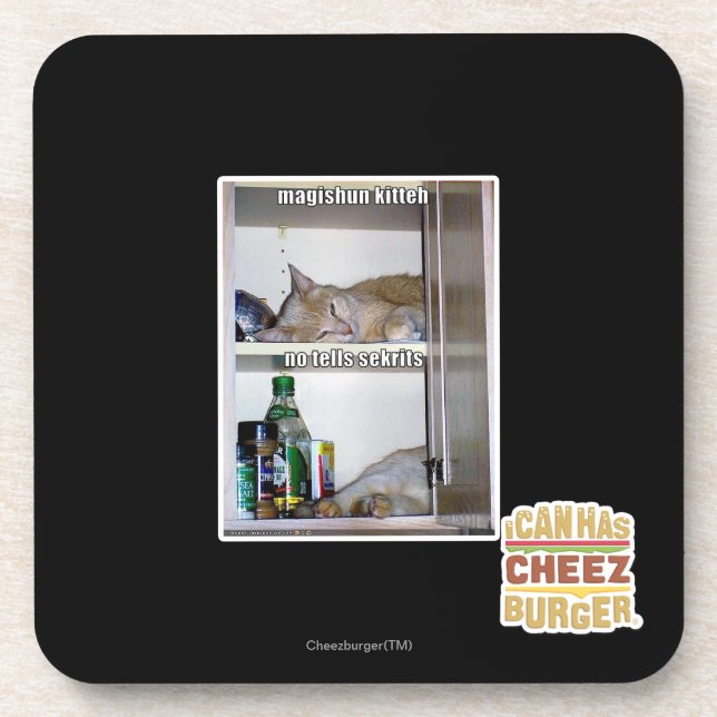 Magishun Kitteh Coaster (Front)
