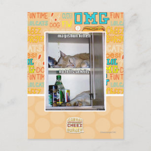 Magishun Kitteh Postcard