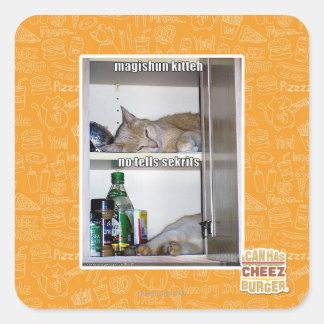 Magishun Kitteh Square Sticker